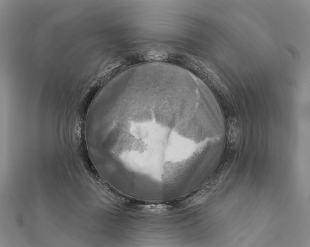 X0000112100363200909011129