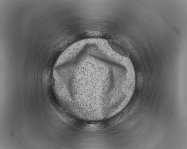 X0000112100364200909011129