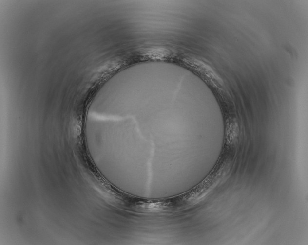 X0000112100365200909011129
