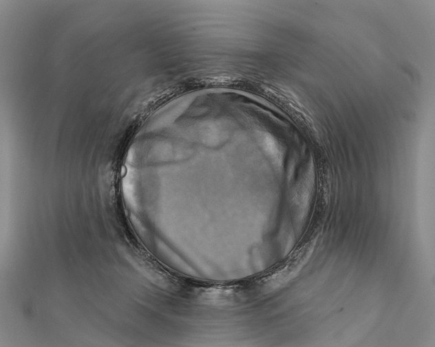 X0000112100366200909011129