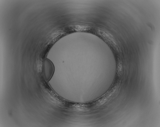 X0000112100367200909011129