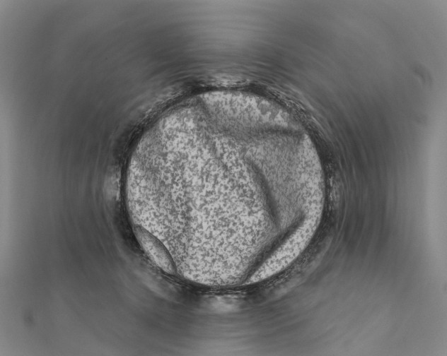 X0000112100368200909011129