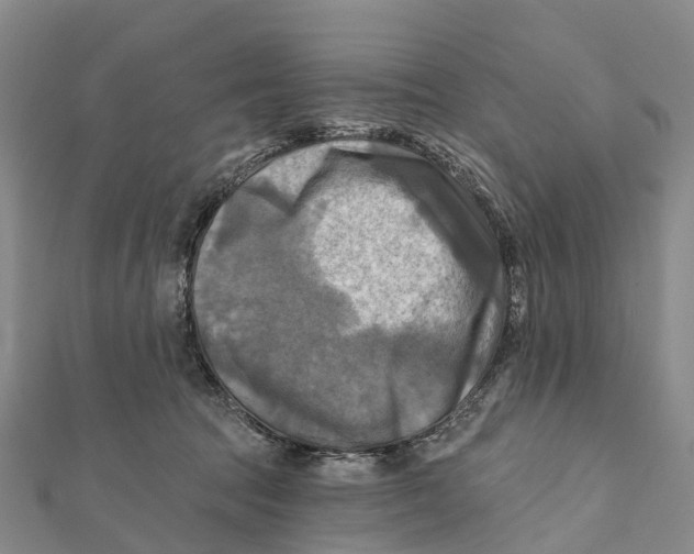 X0000112100369200909011129