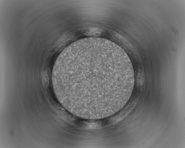 X0000112100370200909011129