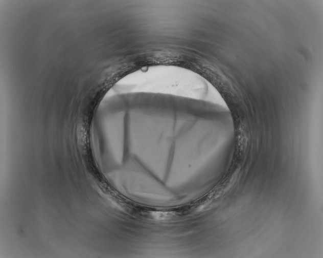 X0000112100371200909011129