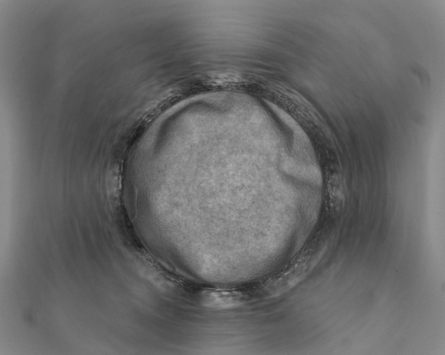 X0000112100372200909011129
