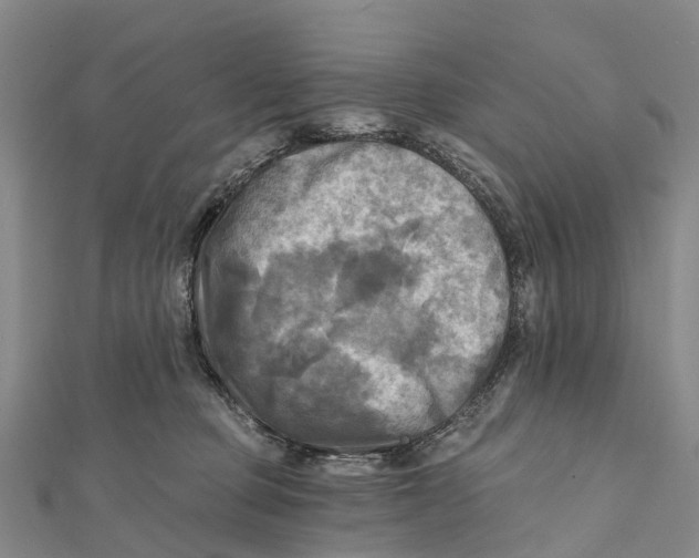 X0000112100373200909011129