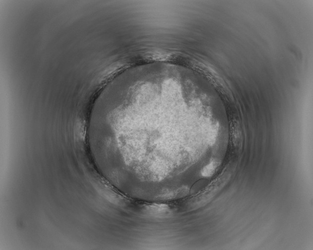X0000112100374200909011129