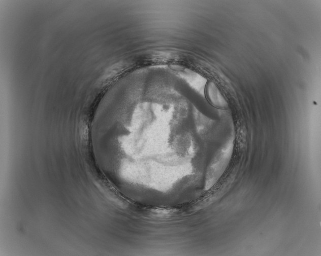 X0000112100375200909011129