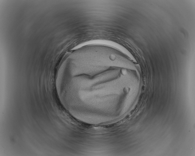 X0000112100376200909011129