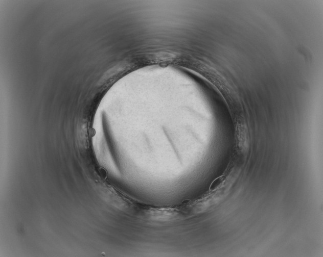 X0000112100378200909011129