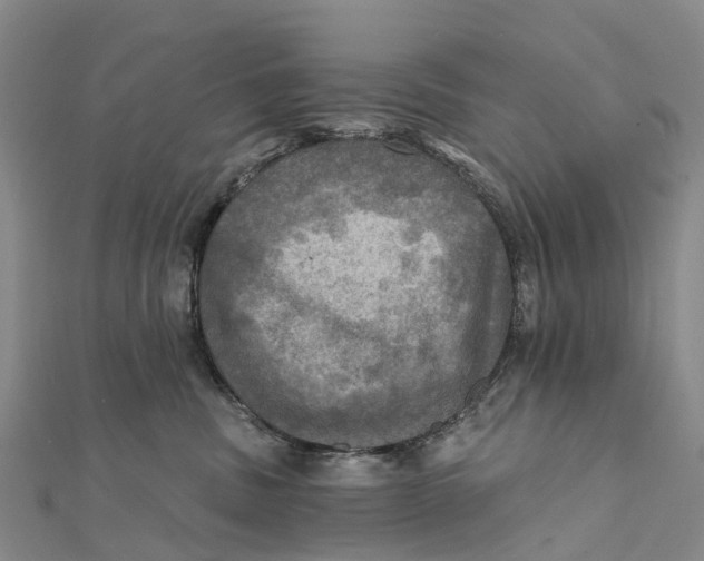 X0000112100379200909011129