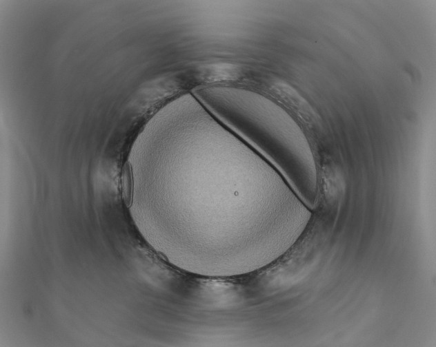 X0000112100380200909011129