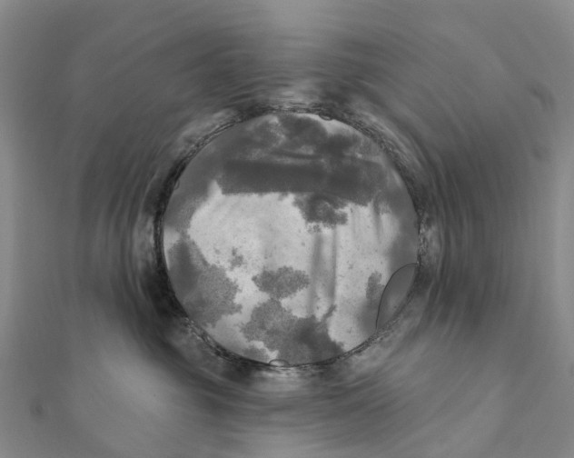 X0000112100381200909011129