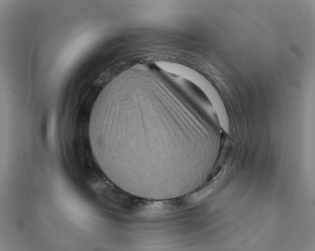 X0000112100382200909011129