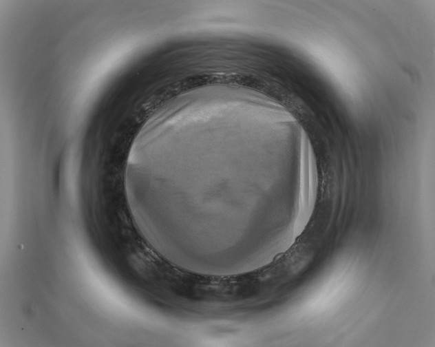 X0000112100383200909011129