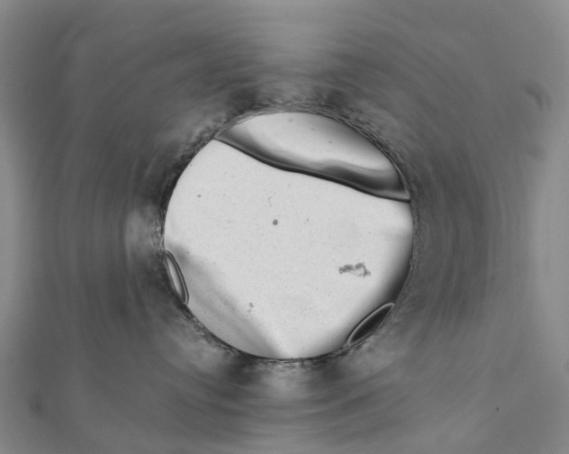 X0000112100384200909011129