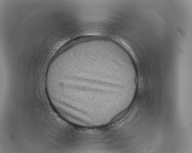 X0000112100385200909011129