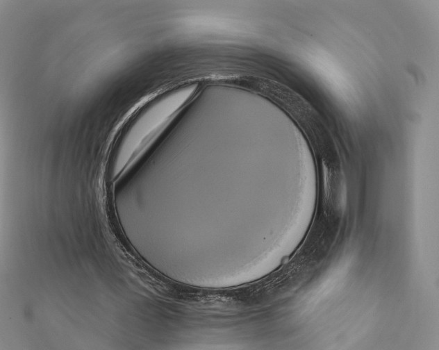 X0000112100387200909011129