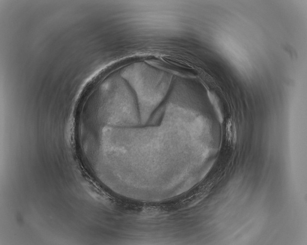 X0000112100388200909011129
