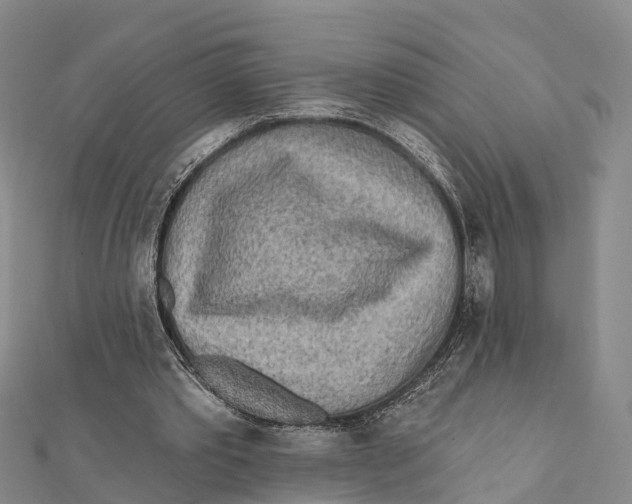 X0000112100389200909011129