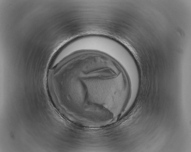 X0000112100391200909011129