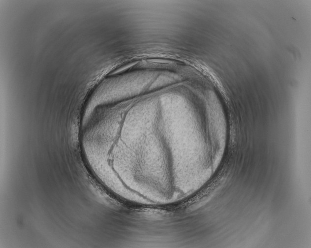 X0000112100393200909011129