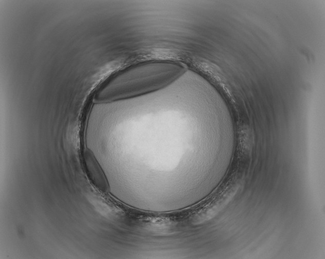 X0000112100395200909011129