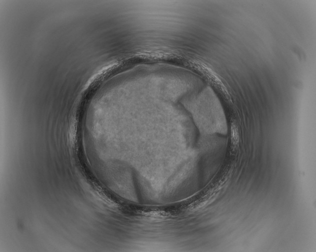 X0000112100396200909011129