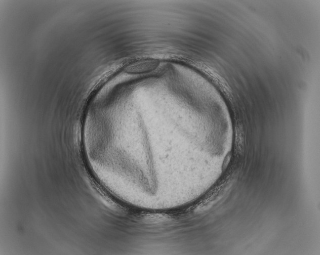 X0000112100397200909011129