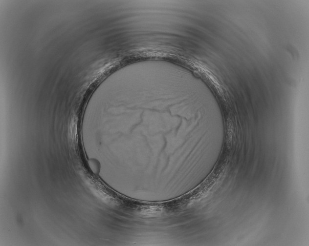 X0000112100398200909011129
