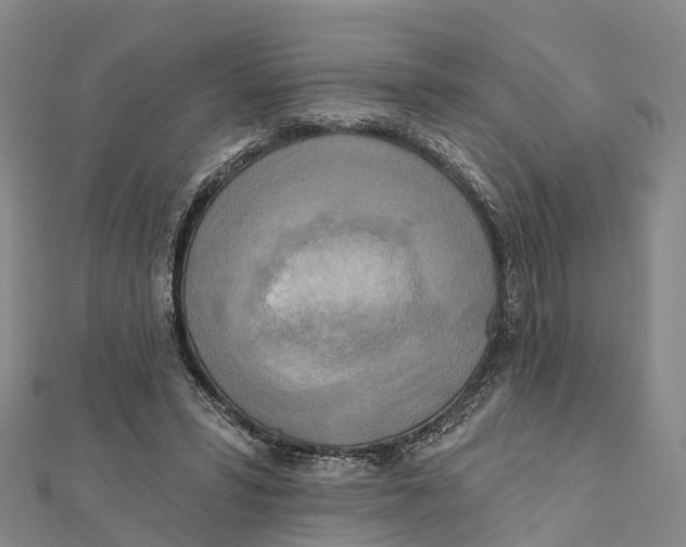 X0000112100399200909011129