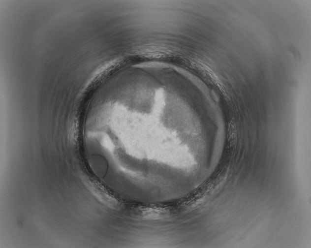 X0000112100400200909011129