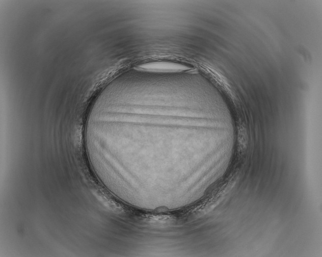 X0000112100401200909011128