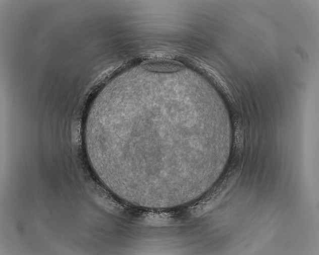 X0000112100403200909011128