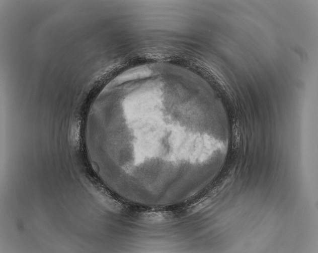 X0000112100404200909011128
