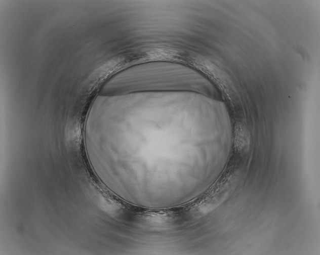 X0000112100405200909011128
