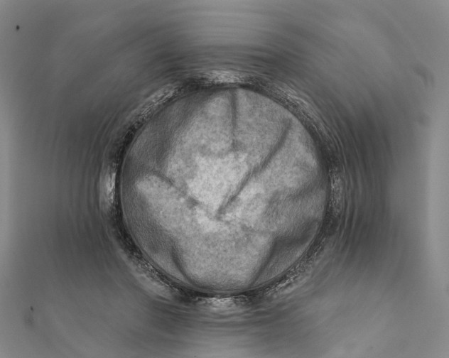 X0000112100406200909011128