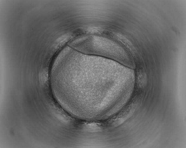 X0000112100407200909011128