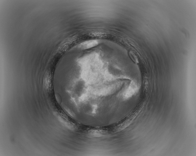 X0000112100408200909011128