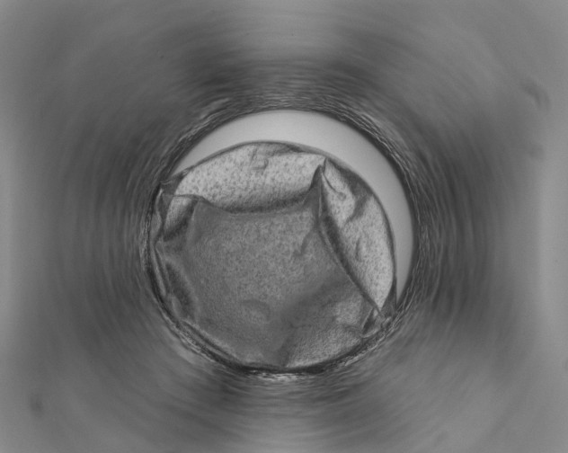 X0000112100409200909011128