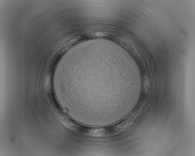 X0000112100410200909011128