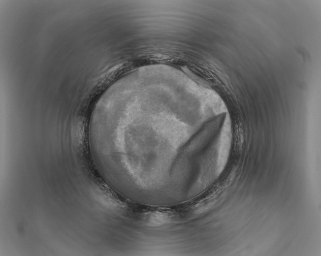 X0000112100412200909011128