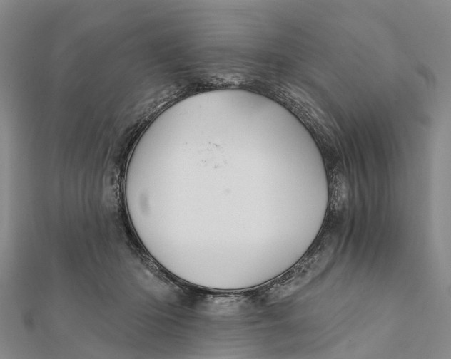 X0000112100414200909011128