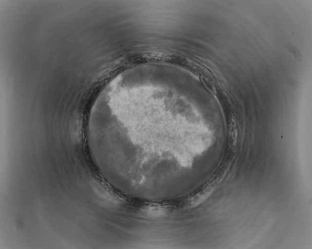X0000112100416200909011128