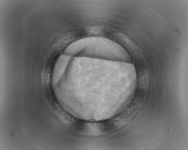 X0000112100417200909011128