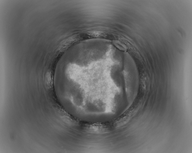 X0000112100420200909011128