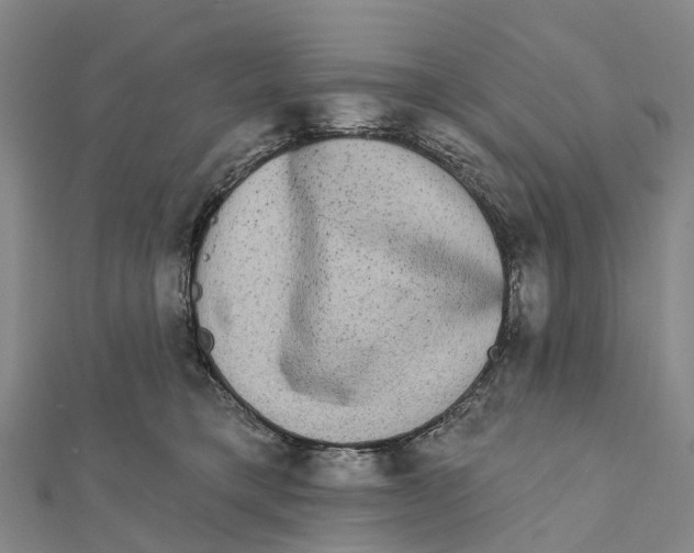 X0000112100421200909011128