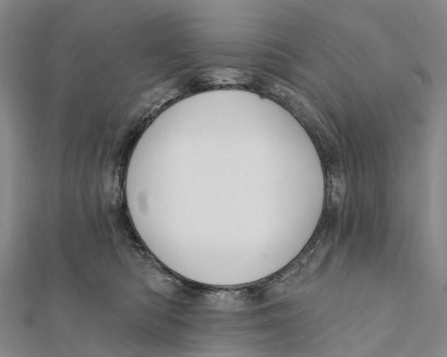 X0000112100422200909011128