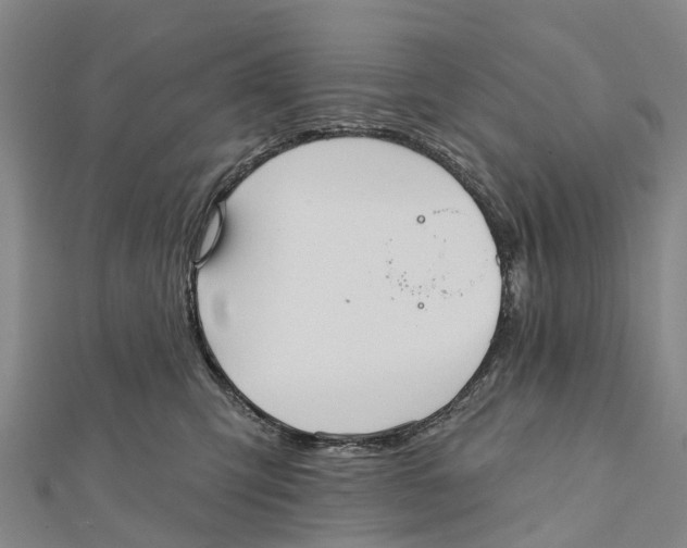X0000112100423200909011128